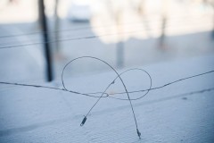 17-DSC_4041