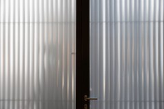5-DSC_3991