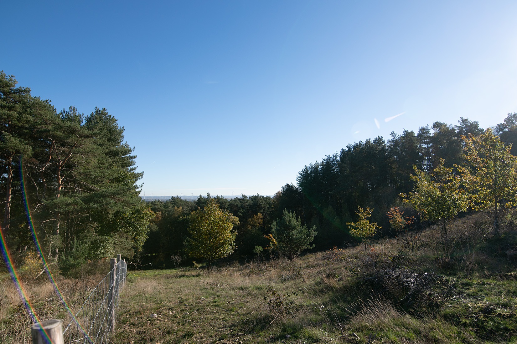 DSC_2974_verkleind