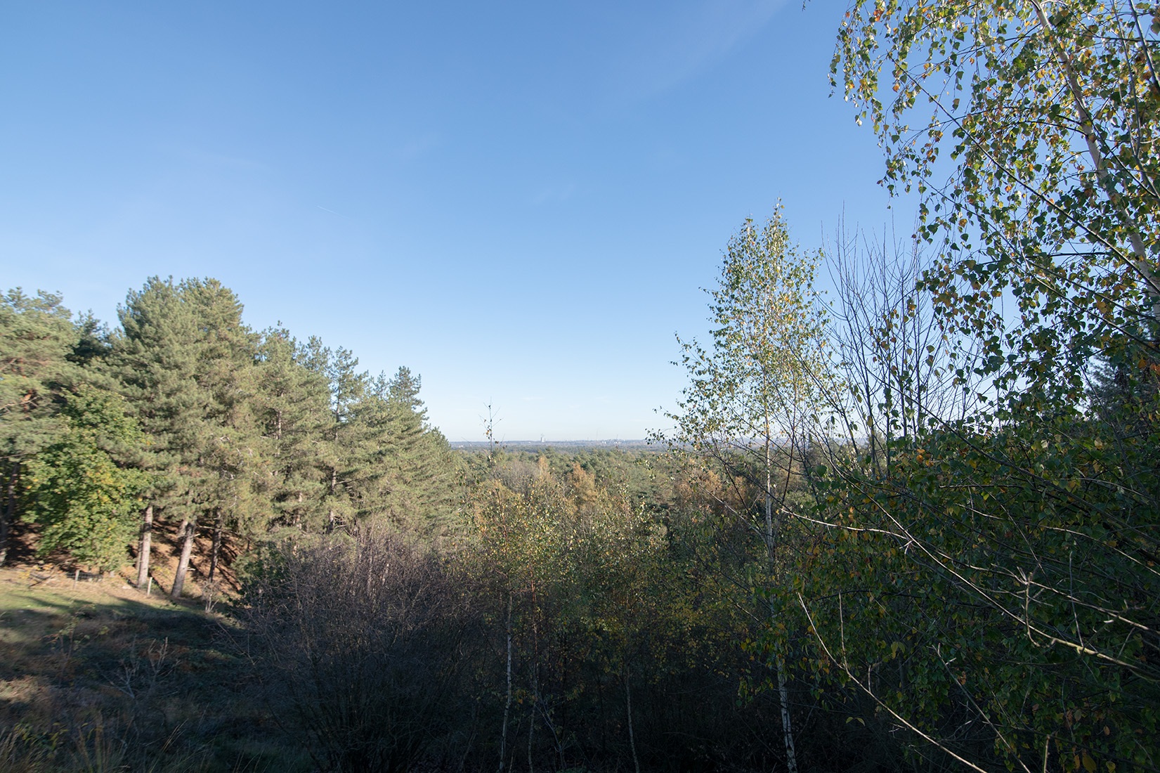 DSC_2975_verkleind