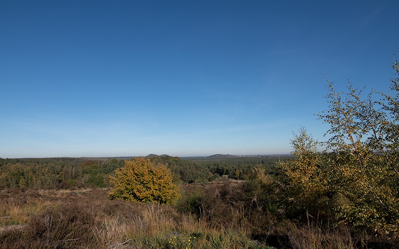 DSC_2978_verkleind