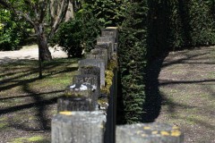 DSC_4482_0250