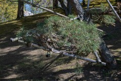 DSC_4493_0261