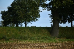 DSC_0774