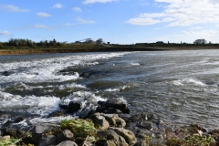 DSC_0853