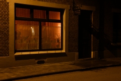 DSC2193